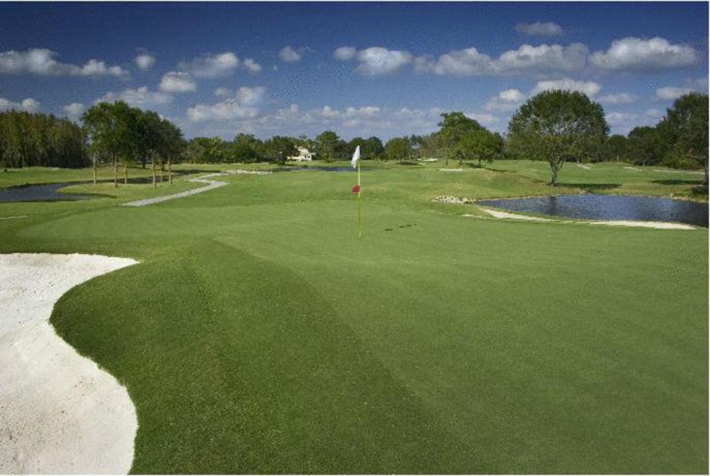 Saddlebrook Golf Resort & Spa Tampa North-Wesley Chapel Eksteriør billede
