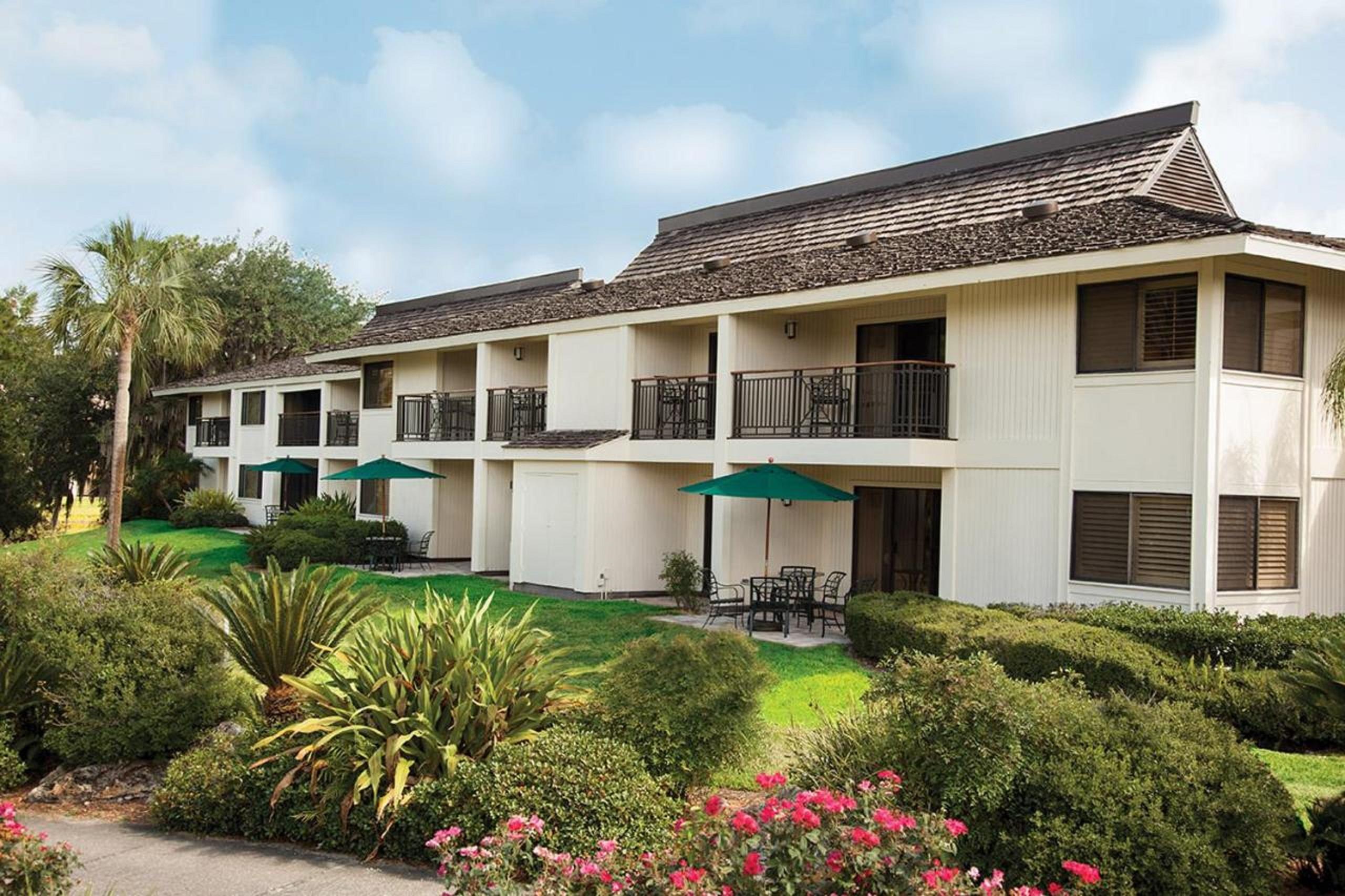 Saddlebrook Golf Resort & Spa Tampa North-Wesley Chapel Eksteriør billede